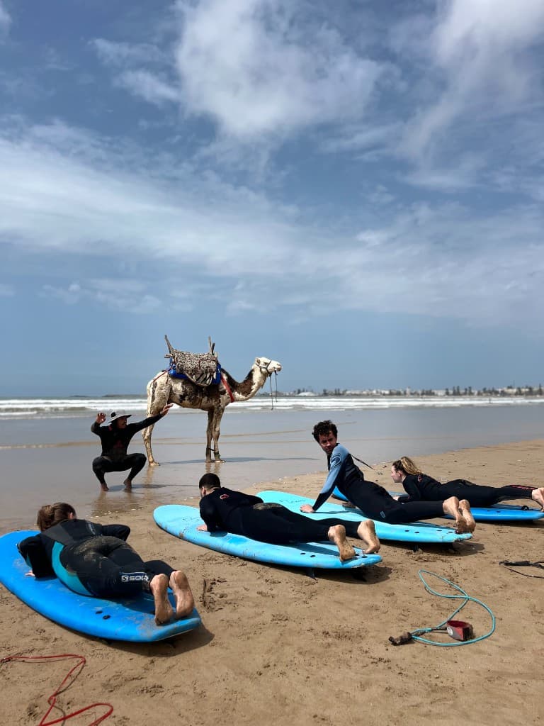 Essaouira surf guide