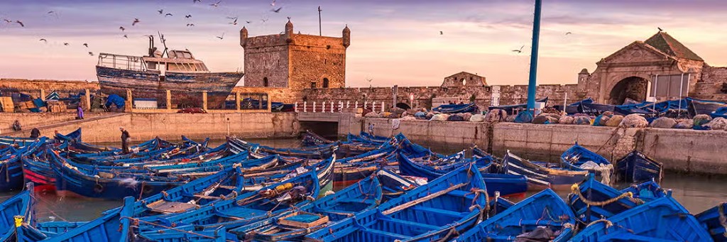 Essaouira harbor at golden hour — wind, swell, and local surf weather