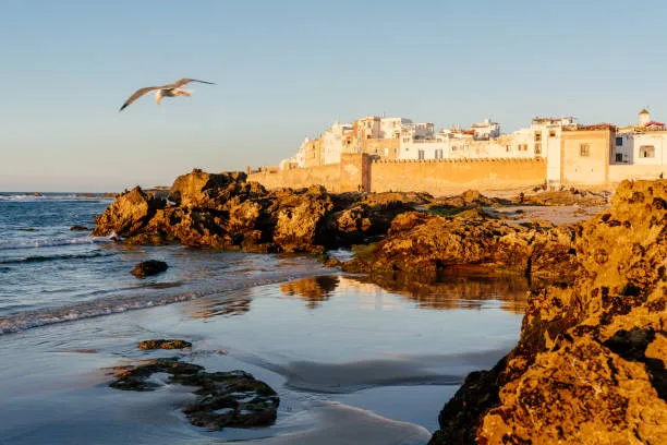 Surf and kitesurf camp week on Essaouira Atlantic beach Morocco